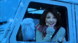 田中麗奈 CM ハウス食品 北海道シチュー 2011 クリスマス篇