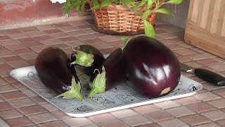 БАКЛАЖАНЫ: заготовки на зиму. Запекаем и замораживаем - 7 дач