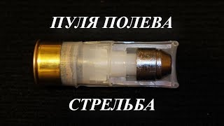 Лучшая пуля для ружья, охоты.  ATA NEO 12R vs ТОЗ 87-М. / Видеообзор