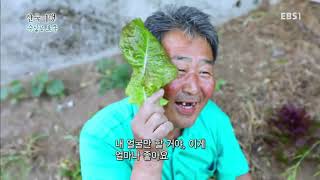 한국기행 - Korea travel_수상한 포구 3부- 누구나 한번쯤_#001