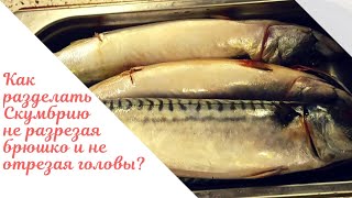 Как почистить Скумбрию