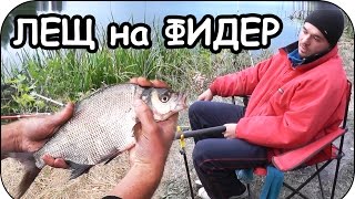 ЛЕЩ на ФИДЕР и ПЛОТВА на СЕВЕРСКОМ ДОНЦЕ НОЧЬЮ