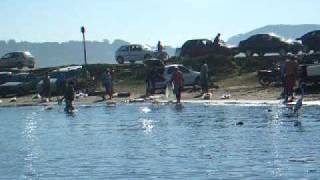 Pesca com boto - Laguna SC-