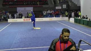 第一屆世界太極拳錦標賽 - 比賽項目 ．1st World Taijiquan Championships