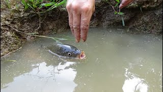 Survival Skills : method that you could never think of .. a great fishing method for girls