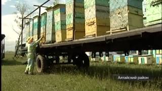 Проверка меда с помощью воды и тарелки с 2.20