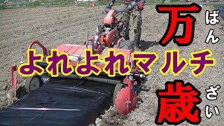 【境地】いつものヨレヨレマルチングでカボチャ用の畝立て