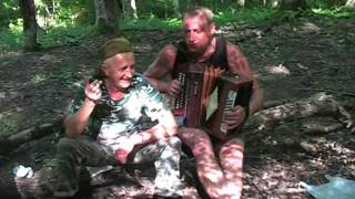 Куст калины