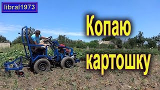 Уборка картофеля минитрактором. Собираем картошку