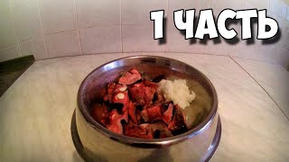 Как правильно кормить собаку натуралкой (1 часть)