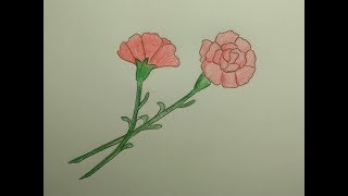 Как нарисовать гвоздику