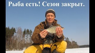 Зимняя рыбалка. Плотва и лещ на безмотылку. Рыбалка зимой со льда удалась! Рыбалка 2019.