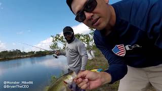 MAGNET FISHING Alligator Eats Bass | Monster Mike
