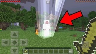 Is ENTITY 303 Real in Minecraft Pocket Edition???