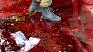 10 САМЫХ СТРАШНЫХ ПРИРОДНЫХ ЯВЛЕНИЙ