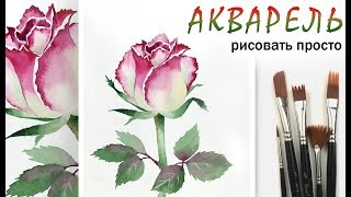 «Цветы. Роза» как нарисовать ?АКВАРЕЛЬ | Сезон 2-6 |Мастер-класс для начинающих