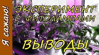 ФИТОЛАМПЫ. Результаты и ВЫВОДЫ по выращиванию рассады томатов. Я сажаю.