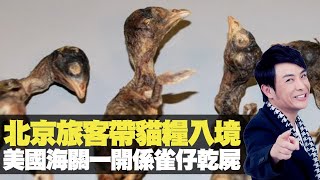 思浩大談旅客帶貓糧入境，美國海關一開係雀仔......！(大家真風騷) bji 2.1