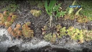"Nature's Kingdom" #13 (11.09.16) - Kazakh TV - kz