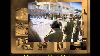 Volunteers for Israel / Sar-El Experience - Call to Adventure