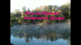 Коп на берегах Северского Донца.