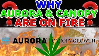 Why Aurora Cannabis And Canopy Growth Are On Fire Today ! ?Marijuana Stocks On Fire ACB-CGC 2019