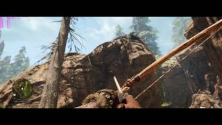 Far Cry Primal 3440x1440 GTX 1080 TI FE