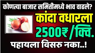 कांदा 2500₹/क्वि.? - आजचे कांदा बाजार भाव | प्याज मंडी भाव | Kanda Bajar Bhav Today | 17 January 19