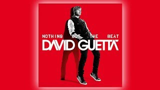 David Guetta & Afrojack - I Just Wanna F (ft. Timbaland & DEV) (Audio)