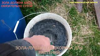 Подкормка золой.Настой золы
