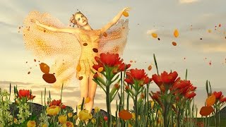 ? Birthday greetings video animation with Butterfly
