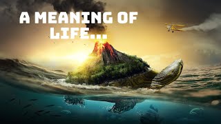 A Meaning of Life