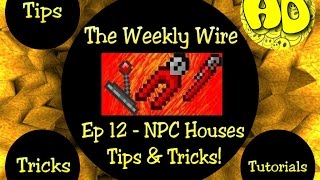 Terraria: The Weekly Wire Ep 12 - NPC Houses Tips & Tricks!