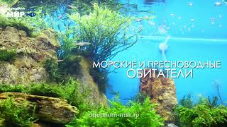 Аквариум "Озеро в горах". Стиль акваскейп