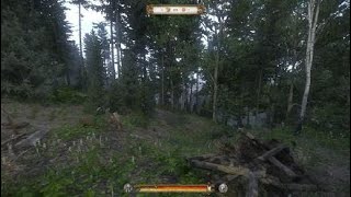 Kingdom Come: Deliverance КАРТА СОКРОВИЩ 12 (XII)