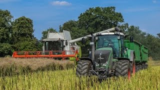 Raps Dreschen 2 Lexion (560+v760) (570+v900) Fendt 930 [Full HD] 2015