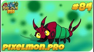 ОСТАВИЛ ПОКЕМОНА В ДЖУНГЛЯХ!? СМОЖЕШЬ ЛИ НАЙТИ ЕГО?!? PIXELMON.PRO #84