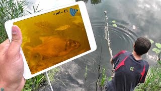 ВИДЕОУДОЧКА СВОИМИ РУКАМИ / РЫБА на ЭКРАНЕ