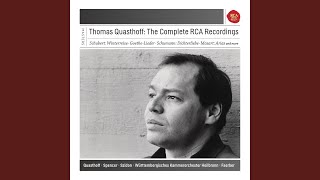 Winterreise, D. 911: No. 15, Die Krähe