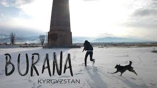中央アジア、キルギス旅行でブラナの塔と犬。Burana Tower, Kyrgyzstan Travel, Central Asia trip. Башня Бурана