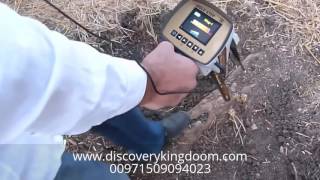 Gold Detector Device | Gold Step |Discovery Kingdom