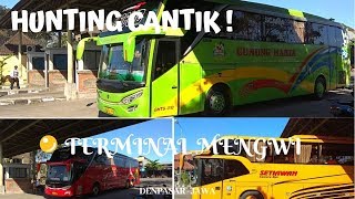 HUNTING CANTIK | Keluar Masuk Bus AKAP Jawa Bali di Terminal Mengwi