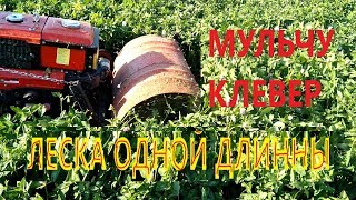 мульчером картошника по клеверу,(ЛЕСКА ОДНОЙ ДЛИННЫ)