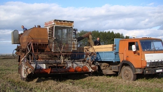 Combine harvester SKD-6 winter rye /// СКД-6 уборка озимой ржи
