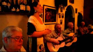 Fado, Teresa Tapadas, "Canto o fado"
