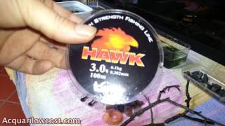 Legare piante acquario parte 1 - Trucchi e consigli aquascape step by step