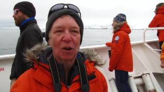 Humpback Whale Encounter in Antarctica