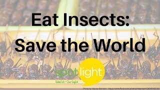 "Eat Insects: Save the World" - practice English with Spotlight