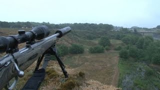 Long range daylight fox shooting