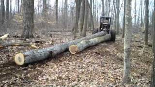 logging kentucky 2